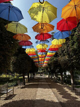 Foto utilizatorului WiciaKosa