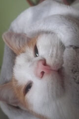 Benutzerfoto Olafcioo