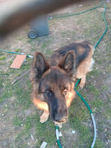 Фотография пользователя GrzegorzPisarski2