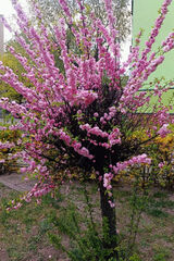 Benutzerfoto Wodniczka75