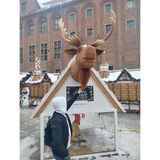 Zdjęcie użytkownika sebastian1019