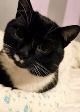 Benutzerfoto pawedolny1