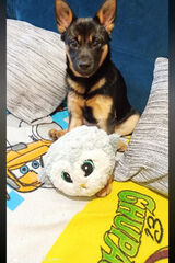 Фотография пользователя AsiulkaAsiula