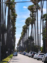 Photos kevinakihiro75