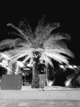 Фото користувача Adik97