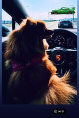 Fotka uživatele NoooWkoncuu