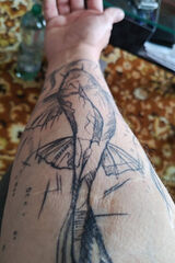 Фотография пользователя ewinskanepal1