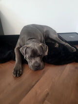 Фотография пользователя MaczetaMa