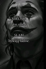 Zdjęcie użytkownika Nordic88