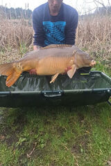 Benutzerfoto Kaliszyk