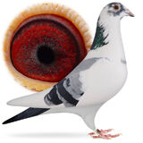 Fotka uživatele marianstrzoda21