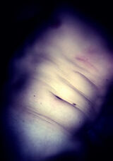 Benutzerfoto matimati23yyy