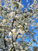 Zdjęcie użytkownika Kaskaa50