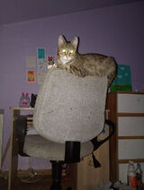 Benutzerfoto dominikatymoszuk33