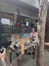 Benutzerfoto dariuszszuka