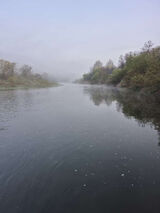 Zdjęcie użytkownika wedkarzdebica