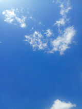 Benutzerfoto bulkazenek