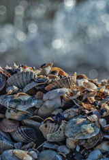 Zdjęcie użytkownika rborowiec0651975