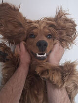 Zdjęcie użytkownika zimnykefir