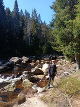 Benutzerfoto Kefir21