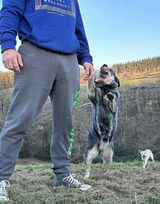 Zdjęcie użytkownika Ineos