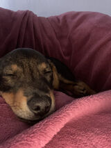 Фотография пользователя aguuuj