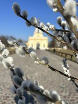 Zdjęcie użytkownika Konkretna123