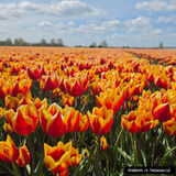 Foto pengguna Ewelina8181