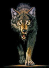 Zdjęcie użytkownika maxxxOn