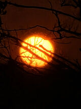 Foto utilizatorului Helena1