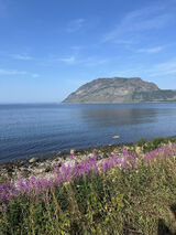 Fotka uživatele kqqng6g7xm