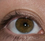 Zdjęcie użytkownika Ald1ar