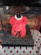 Foto utilizatorului Piotrek122412