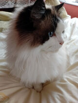 Foto utilizatorului u23610669191980