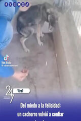 Zdjęcie użytkownika suszekagnieszka06