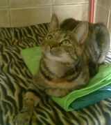 Benutzerfoto Katarzynaa07