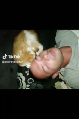 Фотография пользователя andrbogdano42