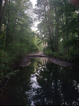 Benutzerfoto Aneta1979