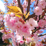 Zdjęcie użytkownika MimiMimi