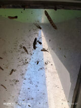 Zdjęcie użytkownika Bartlomiej1988