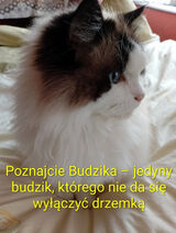 Photos u23610669191980