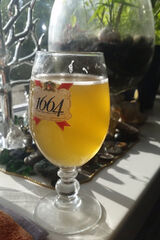 Benutzerfoto JAWOLNA