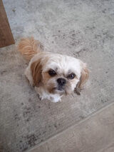 Benutzerfoto Marcin041200