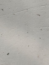 Zdjęcie użytkownika rajson