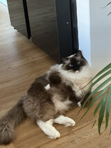 Zdjęcie użytkownika StaryWisnia