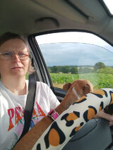 Фото користувача sujkaiwona2