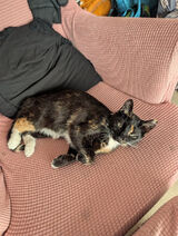 Zdjęcie użytkownika lachimwardzik