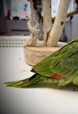 Foto pengguna Marschall