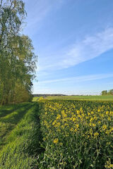 Photos magdalenaciszews22