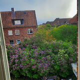 Foto pengguna Lolabrennt